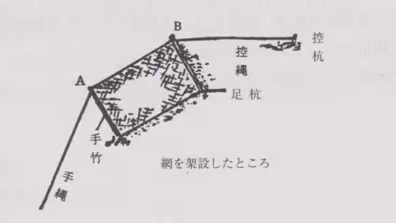 くむそう網の一種の片むそうの図