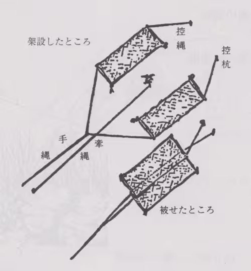 くむそう網の一種の双むそうの図