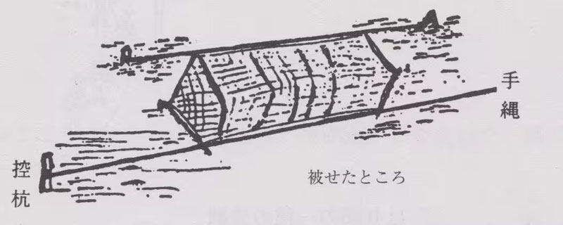 くむそう網の一種の袖むそうの図