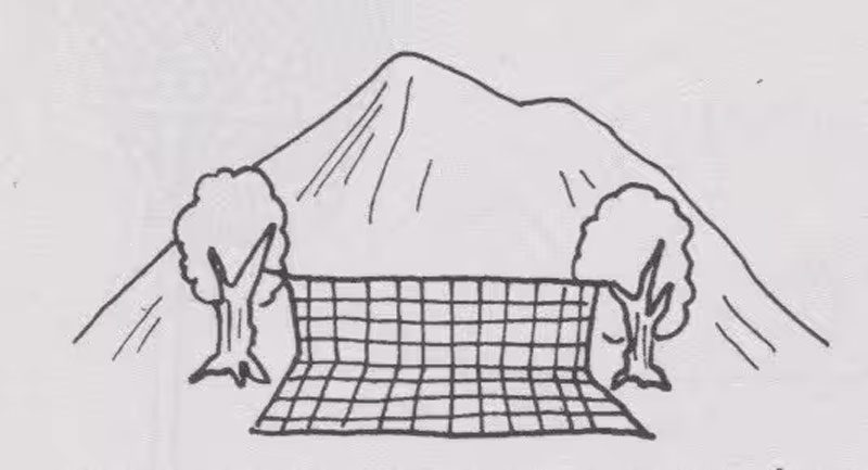 くはり網の一種のうさぎ網の図