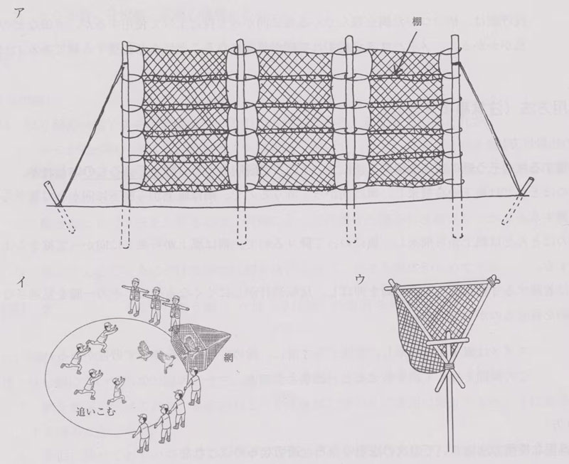 くかすみ網の図