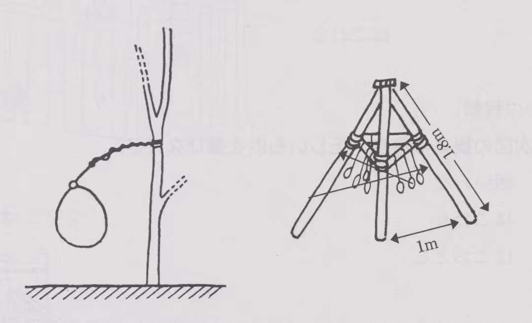 くくりわなの図